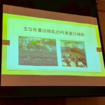Report Photo